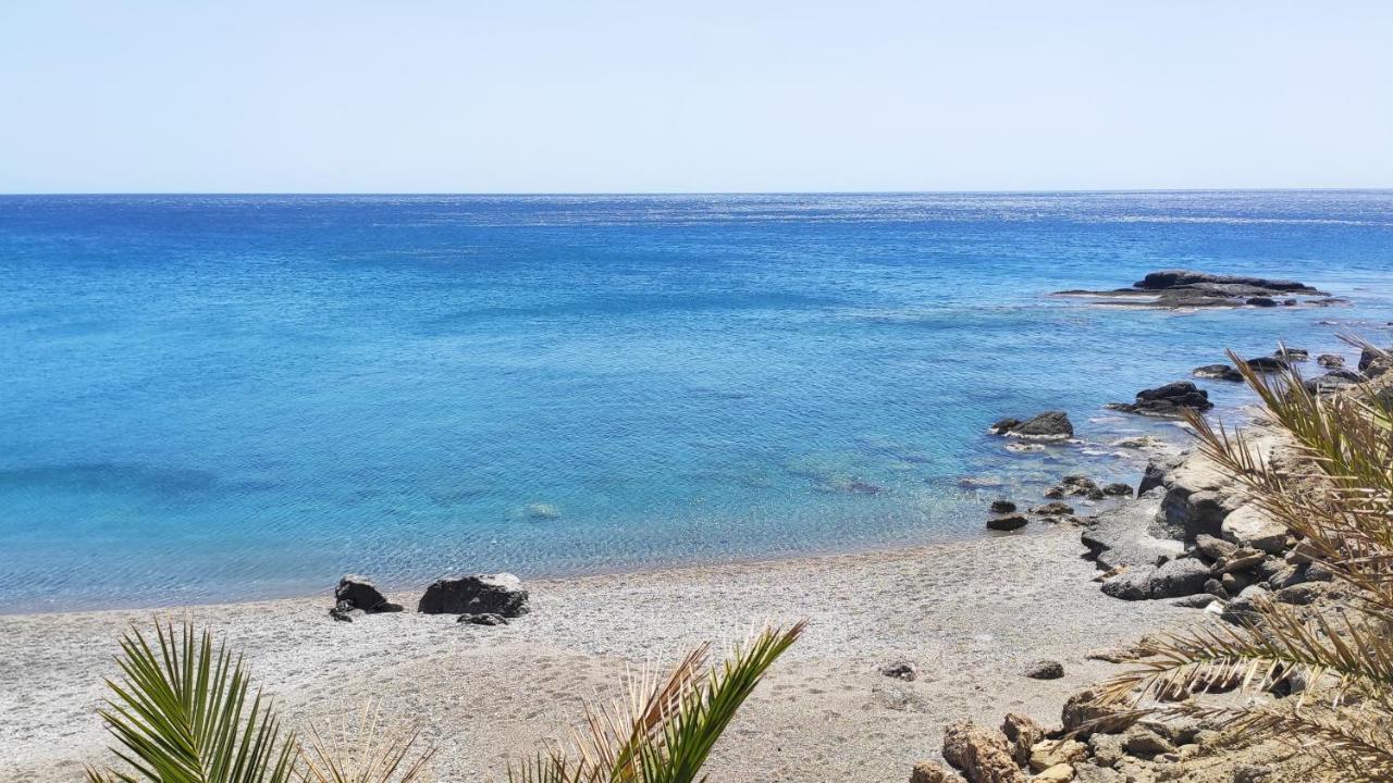 לרפטרה Blue Paradise מראה חיצוני תמונה